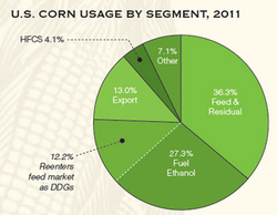 Corn Usage